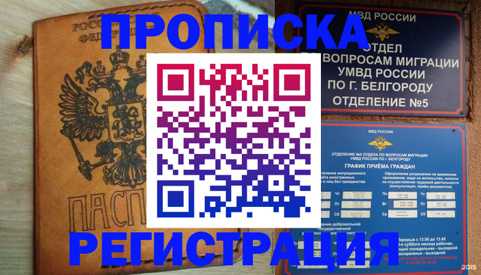 прописка для работы в Коле